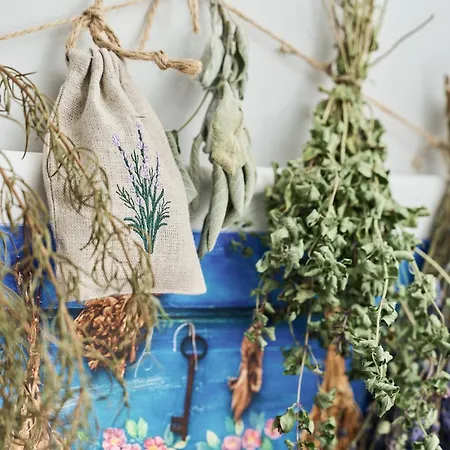 Szept Galeria Dominikanska By Renters 公寓